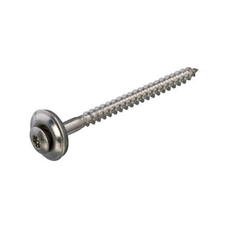 Schroeven 4.5 x 40 - Daktrim RVS TX20 (25 stuks)