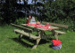 Plus Danmark picknicktafel vuren geimpregneerd | Opklapbare zitting en rugleuningen 155 x 177 x 71 cm