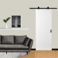 Svedex Schuifdeur - Nova Design - NDB958 afgelakt