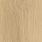 Maestro Steps Uitloopprofiel - Cashew oak - 100 x 5,6 cm