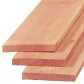 TrendHout plank lariks douglas 3,2 x 20,0 cm (3,00 mtr) gezaagd