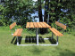 Plus Danmark picknickset lariks geolied | Basic 2 rugleuningen 184 x 177 x 73 cm